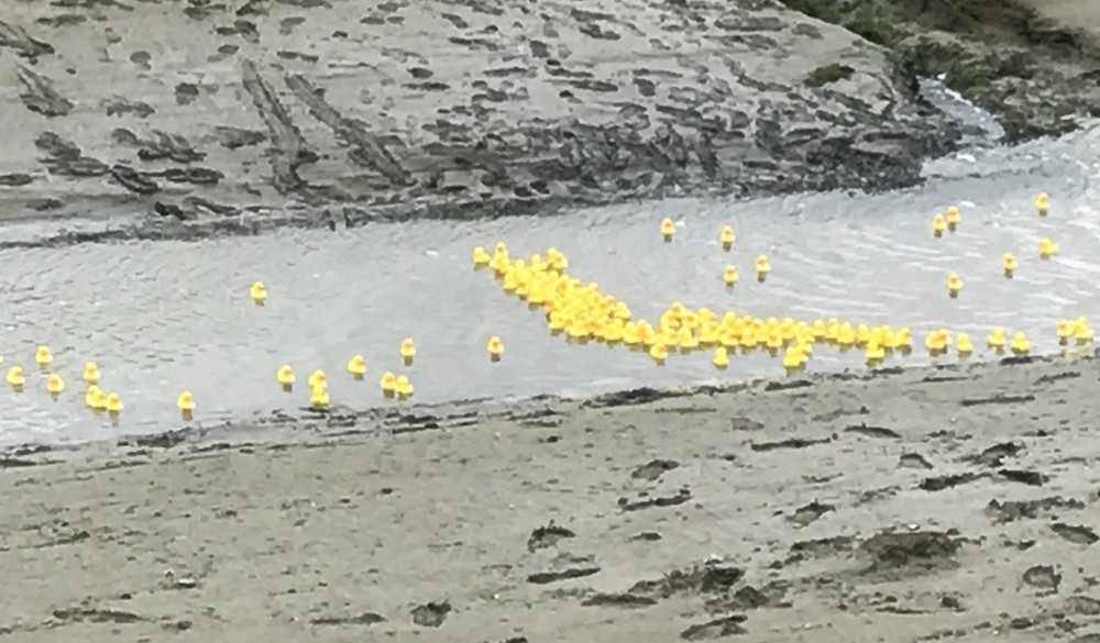 Leigh-on-Sea Duck Race 2017 – Results & Video